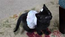 Adorable Newborn Clothes