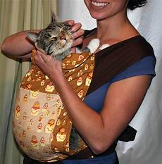 Baby Carrier
