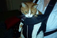 Baby Carriers