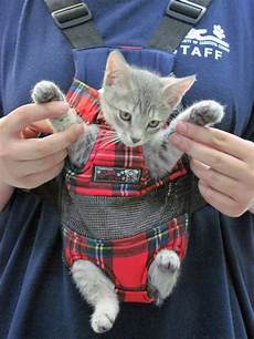 Baby Chest Carrier