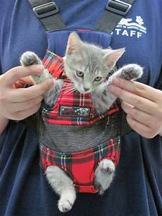 Baby Chest Carrier