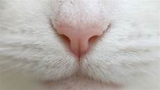 Baby Close