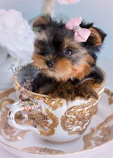 Baby Clothing Products