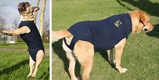 Baby Grow Shirt
