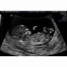 Baby Shop Usa