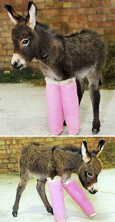 Clothes For A Baby