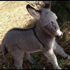 Cute Baby Stuff