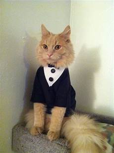 Formal Baby Clothes