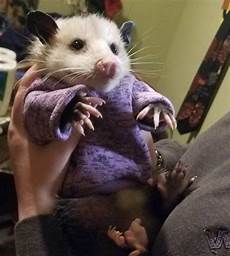 Hilarious Baby Clothes