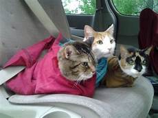 New Baby Carrier
