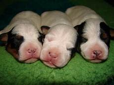 New Born Baby Sites
