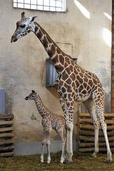 New Born Baby Sites