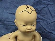 Newborn Baby Grows