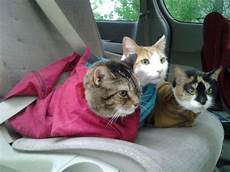 Soft Baby Carriers